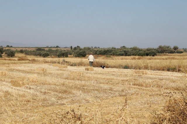 Αγωνες Α.Κ.Ι 11/6/2017